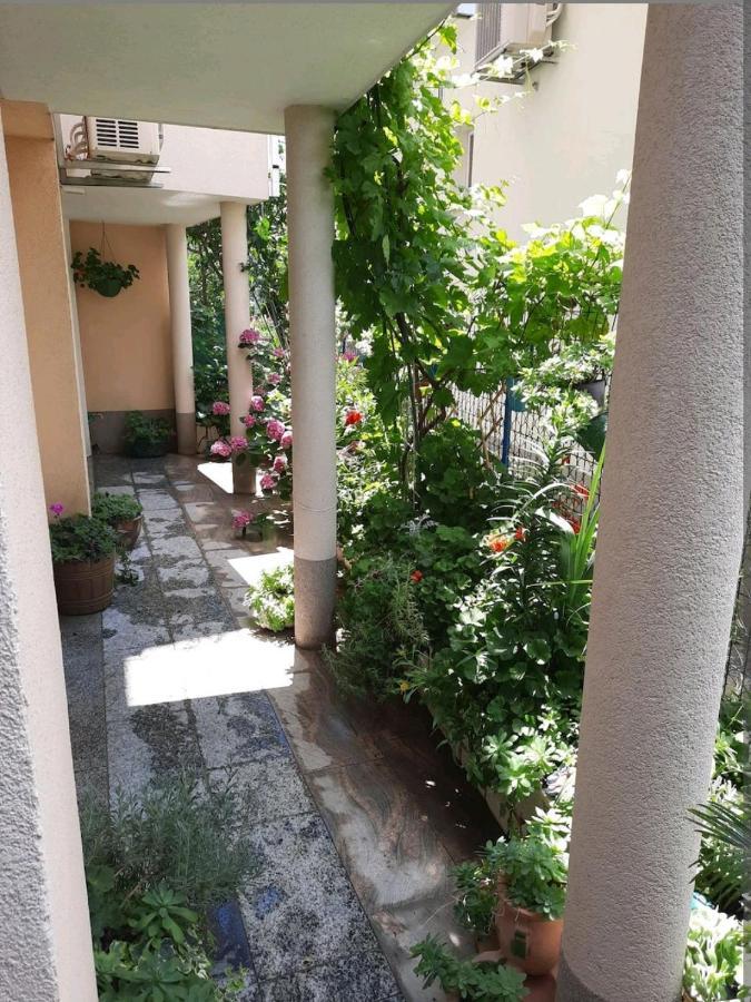 Vila Doris Hotel Baska Voda Ngoại thất bức ảnh